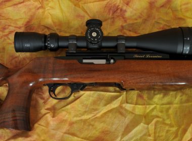 Best Ruger 10-22 Scopes 2019 Reviewed